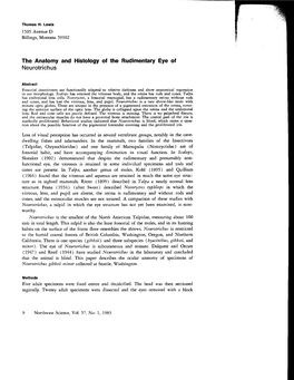 The Anatomy and Histology of the Rudimentary Eye Ol Neurotrichus