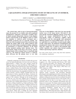 Lung Morphology of an Ostrich 2315