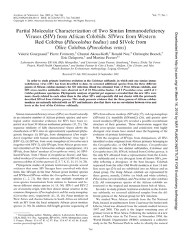 Partial Molecular Characterization of Two Simian Immunodeficiency