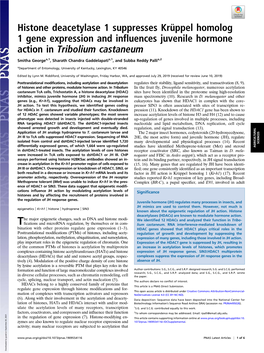 Histone Deacetylase 1 Suppresses Kr Ppel Homolog 1 Gene Expression