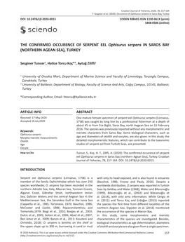 THE CONFIRMED OCCURENCE of SERPENT EEL Ophisurus Serpens in SAROS BAY (NORTHERN AGEAN SEA), TURKEY