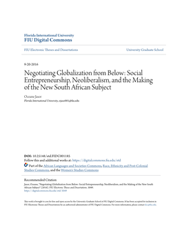 Negotiating Globalization from Below: Social Entrepreneurship