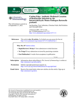 Grahamii Bartonella Intraerythrocytic Mouse