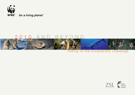 2010 and Beyond