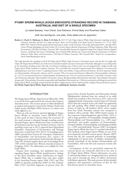 Pygmy Sperm Whale (Kogia Breviceps) Stranding Record in Tasmania, Australia, and Diet of a Single Specimen