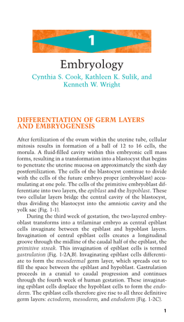 Embryology Cynthia S