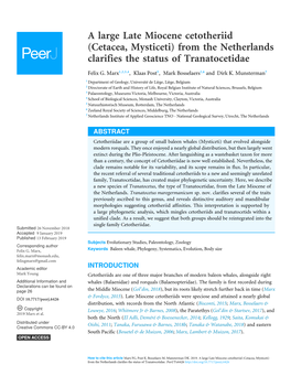 A Large Late Miocene Cetotheriid (Cetacea, Mysticeti) from the Netherlands Clarifies the Status of Tranatocetidae