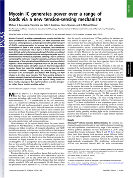 Myosin IC Generates Power Over a Range of Loads Via a New Tension