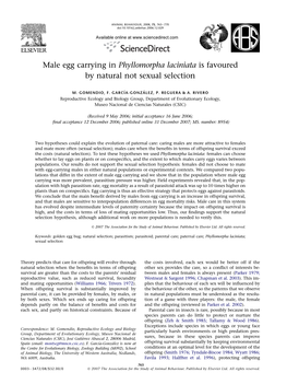 Male Egg Carrying in Phyllomorpha Laciniata Is Favoured by Natural Not Sexual Selection