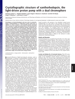 Crystallographic Structure of Xanthorhodopsin, the Light-Driven Proton Pump with a Dual Chromophore
