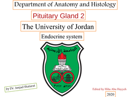 Pituitary Gland 2 the University of Jordan Endocrine System