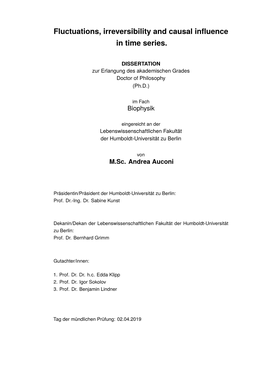 Fluctuations, Irreversibility and Causal Influence in Time Series