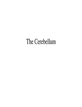 The Cerebellum Cerebellum • Located Below Tentorium Cerebelli Within Posterior Cranial Fossa
