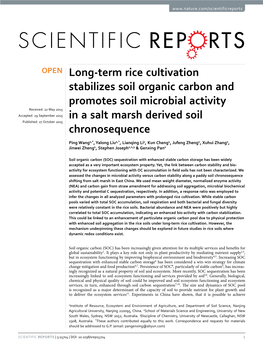 Long-Term Rice Cultivation Stabilizes Soil Organic Carbon and Promotes