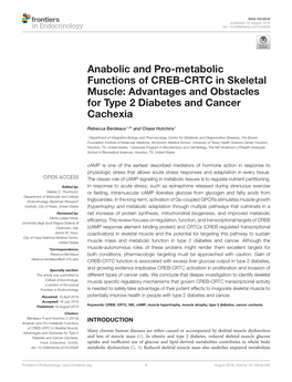 Anabolic and Pro-Metabolic Functions of CREB-CRTC in Skeletal Muscle: Advantages and Obstacles for Type 2 Diabetes and Cancer Cachexia