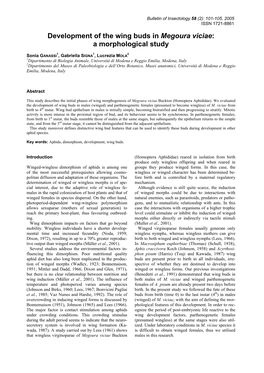 Development of the Wing Buds in Megoura Viciae: a Morphological Study