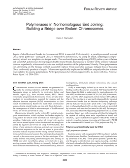 Polymerases in Nonhomologous End Joining: Building a Bridge Over Broken Chromosomes