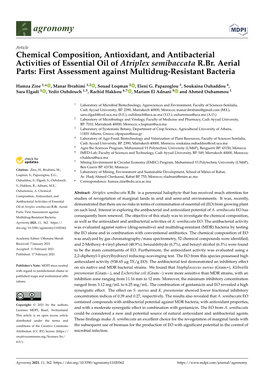 Chemical Composition, Antioxidant, and Antibacterial Activities of Essential Oil of Atriplex Semibaccata R.Br