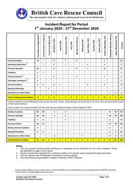 2020 – BCRC Incident Report