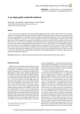 A Sea Slug's Guide to Plastid Symbiosis