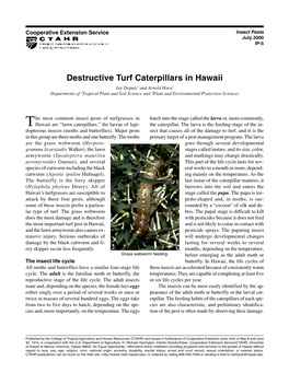 Destructive Turf Caterpillars in Hawaii Jay Deputy1 and Arnold Hara2 Departments of 1Tropical Plant and Soil Science and 2Plant and Environmental Protection Sciences