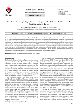 Labellum Micromorphology of Some Orchid Genera (Orchidaceae) Distributed in the Black Sea Region in Turkey