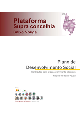 Relatório Plano De Desenvolvimento Social Da Região Baixo Vouga