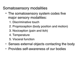 The Somatosensory System Codes Five