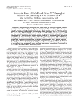 Synergistic Roles of Hslvu and Other ATP-Dependent Proteases in Controlling in Vivo Turnover of ␴32 and Abnormal Proteins in Escherichia Coli