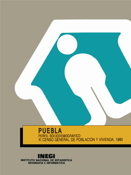 Puebla Perfil Sociodemografico Xi Censo General De Poblacion Y Vivienda, 1990