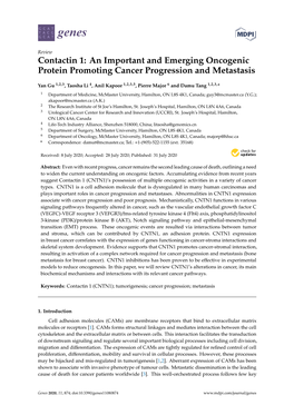 Contactin 1: an Important and Emerging Oncogenic Protein Promoting Cancer Progression and Metastasis