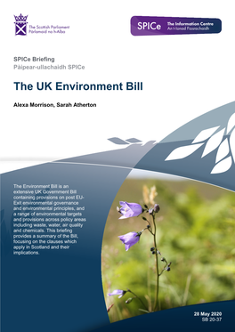 The UK Environment Bill