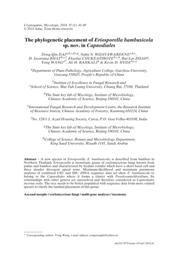 The Phylogenetic Placement of Eriosporella Bambusicola Sp. Nov