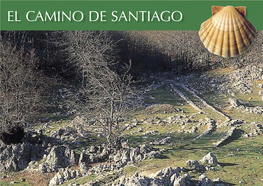 El Camino De Santiago ������