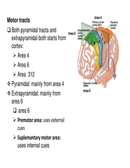 Both Pyramidal Tracts and Extrapyramidal Both Starts from Cortex