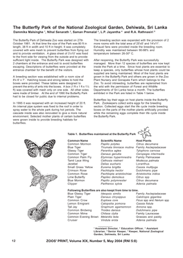 12-13 Butterfly Article.Pmd