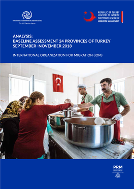 Analysis: Baseline Assessment 24 Provinces of Turkey September–November 2018