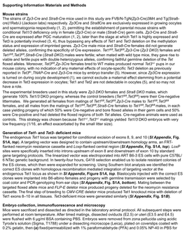 Supporting Information Materials and Methods Mouse Strains the Strains of Zp3-Cre and Stra8-Cre Mice Used in This Study Are FVB