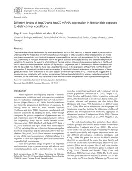 Different Levels of Hsp70 and Hsc70 Mrna Expression in Iberian Fish Exposed to Distinct River Conditions