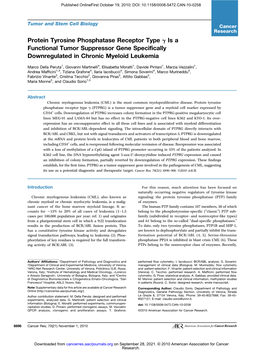 Protein Tyrosine Phosphatase Receptor Type Γ Is a Functional Tumor Suppressor Gene Specifically Downregulated in Chronic Myeloid Leukemia