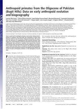 Anthropoid Primates from the Oligocene of Pakistan (Bugti Hills): Data on Early Anthropoid Evolution and Biogeography