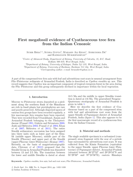 First Megafossil Evidence of Cyatheaceous Tree Fern from the Indian Cenozoic