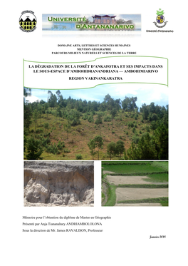 La Dégradation De La Forêt D’Ankafotra Et Ses Impacts Dans Le Sous-Espace D’Ambohidranandriana — Ambohimiarivo Region Vakinankaratra