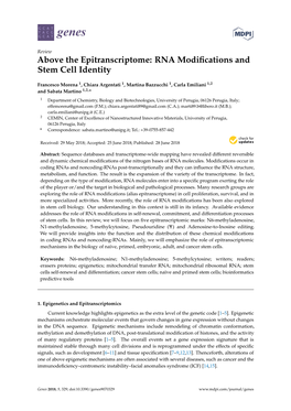RNA Modifications and Stem Cell Identity