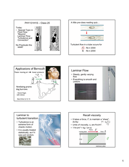 Laminar Flow: Turbulence and Convection”