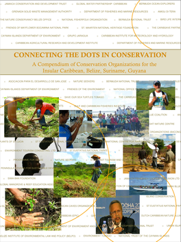 A Compendium of Conservation Organizations for the Insular