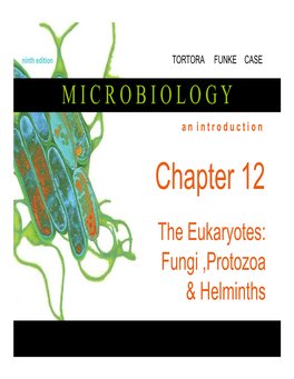 MICR 130 Chapter 12