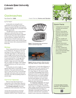 Cockroaches Fact Sheet No