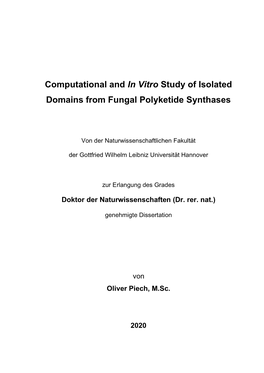 Computational and in Vitro Study of Isolated Domains from Fungal Polyketide Synthases