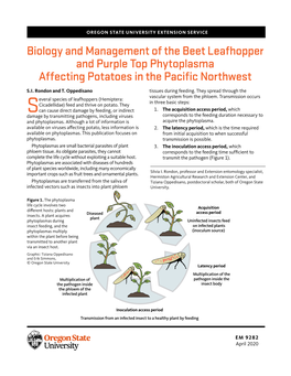 Biology and Management of the Beet Leafhopper and Purple Top Phytoplasma Affecting Potatoes in the Pacific Northwest